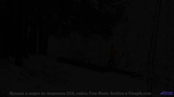 Этот клип - чистая гармония звука и мира - 13 One-Percent-Rule -- Shaolin Dub -- Preservation