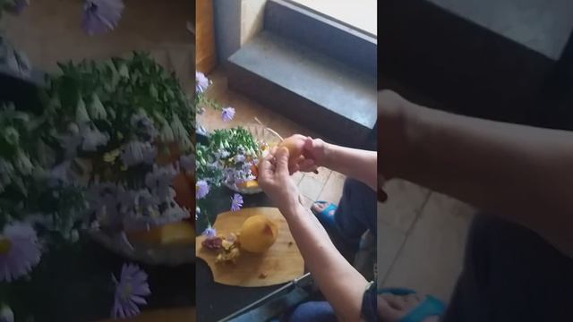 27 сентября 2024 г. смотреть онлайн