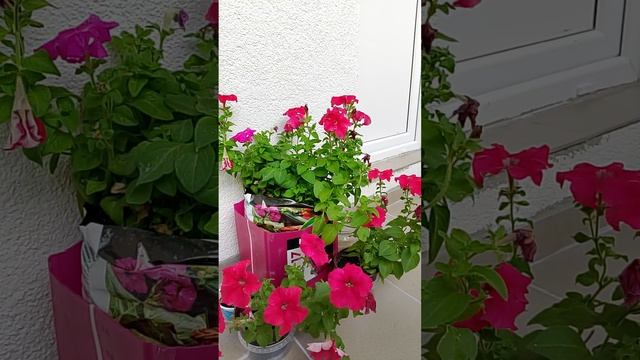 Посылки получила. Страница надежды смотреть онлайн