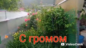 Стихия разошлась