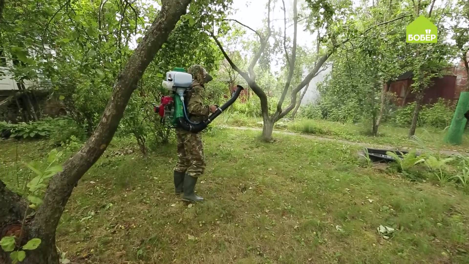 РАБОТЫ В САДУ. Как защитить плодовые деревья от гусениц смотреть онлайн