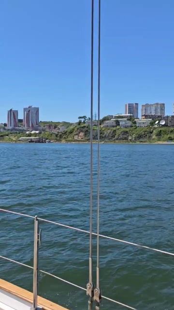 Владивосток с воды: роскошная прогулка на катере, от которой захватывает дух смотреть онлайн