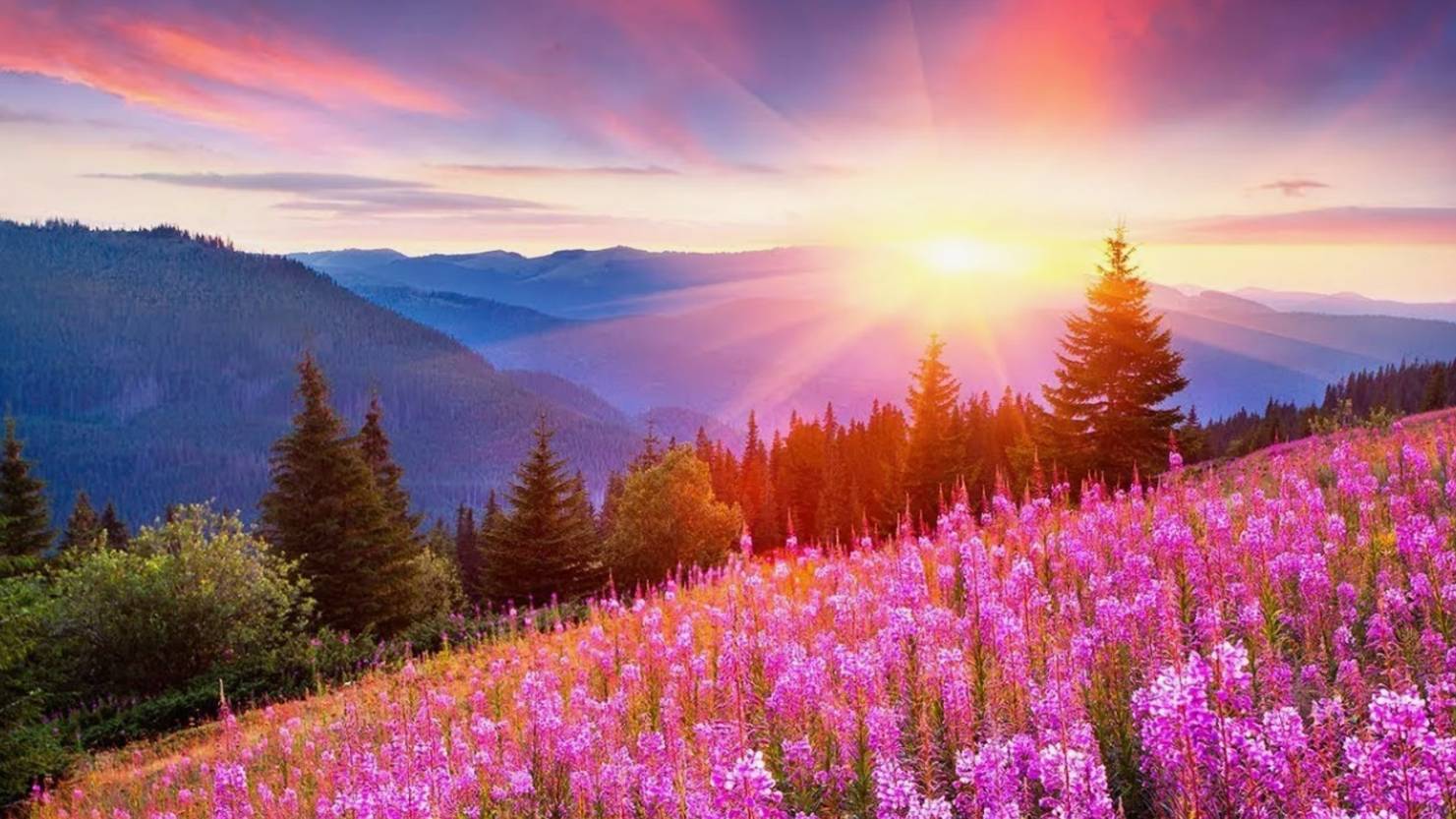 Вадим Утемесов – Прощай, Земля (2025, AI SUNO) смотреть онлайн