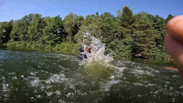 Zevs учится плавать 2