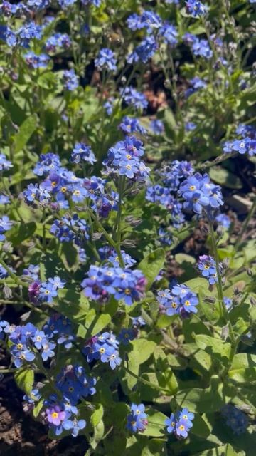 Ялта 💖💖💖 смотреть онлайн