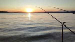 Рыбалка Десногорск. 04~06.07.25.