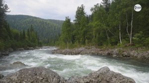 Наша Сибирь 4К: Бурная река