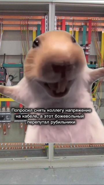 IMG_6262 смотреть онлайн