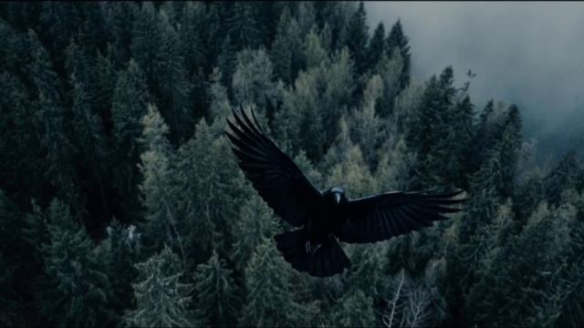 Чёрный ворон. смотреть онлайн