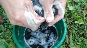 очистка воздушного фильтра на бензо триммере