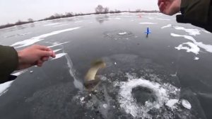 Зимняя рыбалка