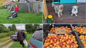 У МЕНЯ СЕГОДНЯ СТРИЖКА И РЫНОК, ПОСМОТРИМ ЧТО КУПИЛА. А ЛЁШИК С РЫБАЛКИ.