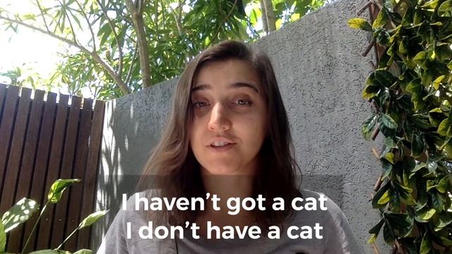 Не говори "I haven't a cat"! смотреть онлайн