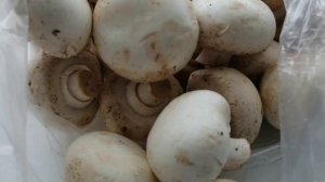 Как правильно хранить шампиньоны в холодильнике