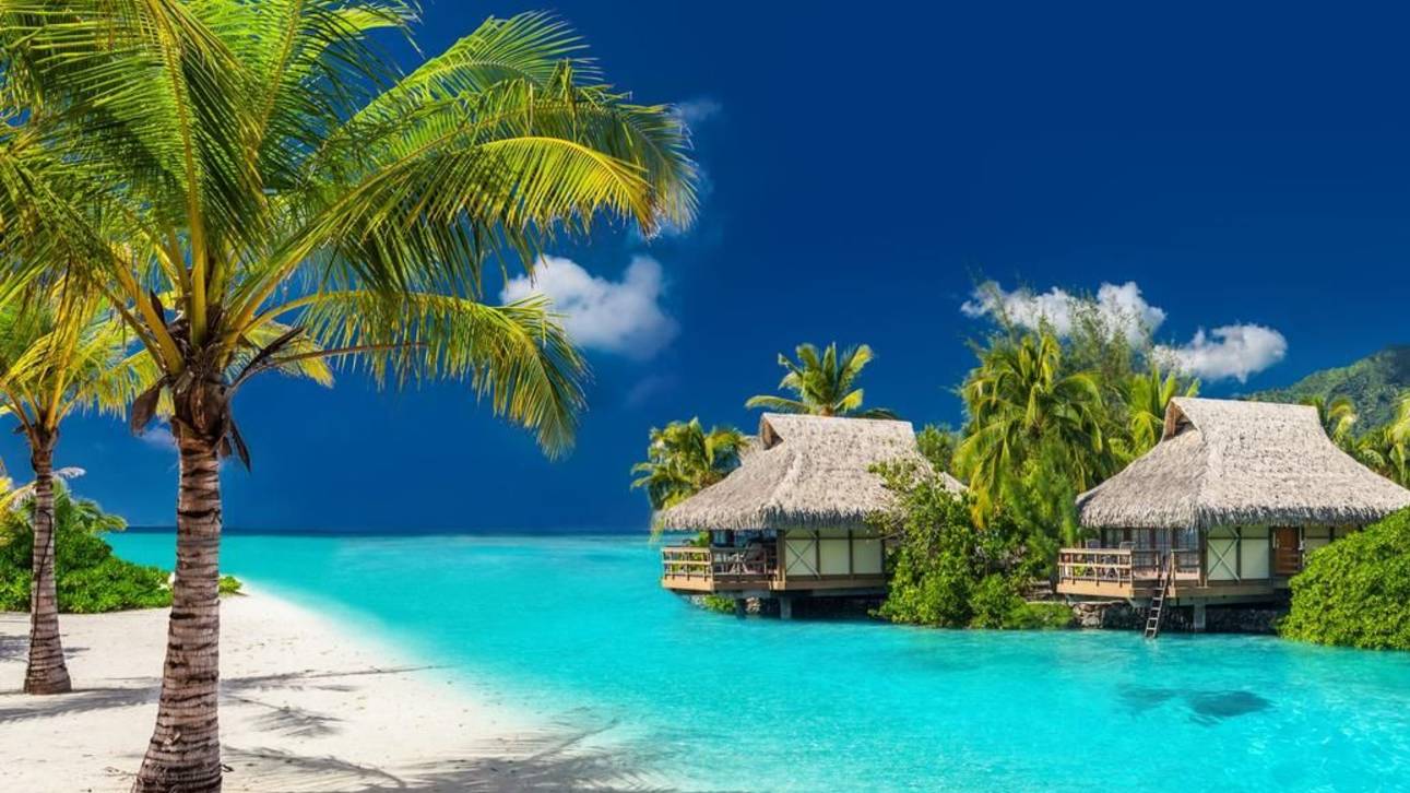 мальдивы смотреть онлайн