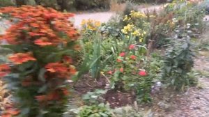 Отдохни от суеты  #цветы #астры  #пионы  #бархатцы  #красотаприроды  #отдых #красивыецветы