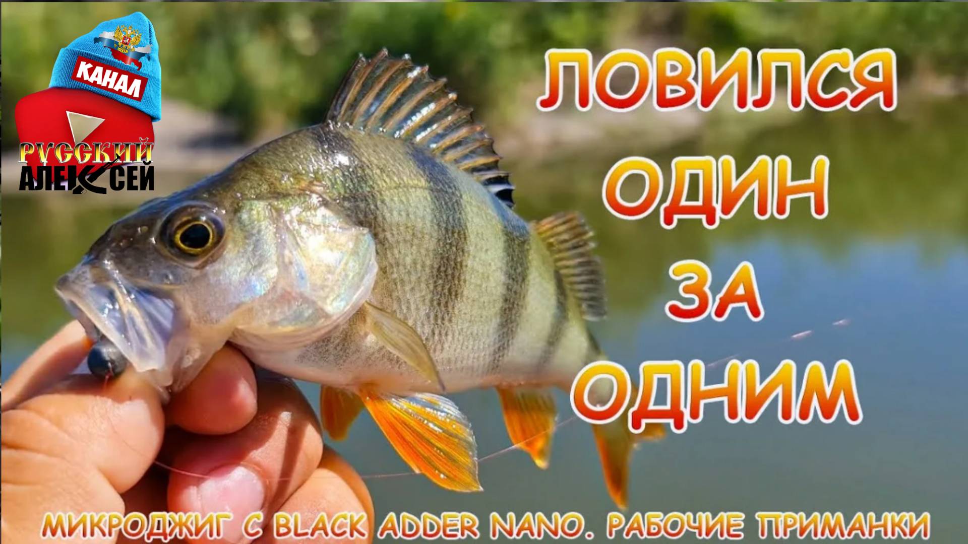 ✔Хорошая рыбалка на окуня в жаркие дни лета на реке Волга  Тверской области!Рыбалка с берега