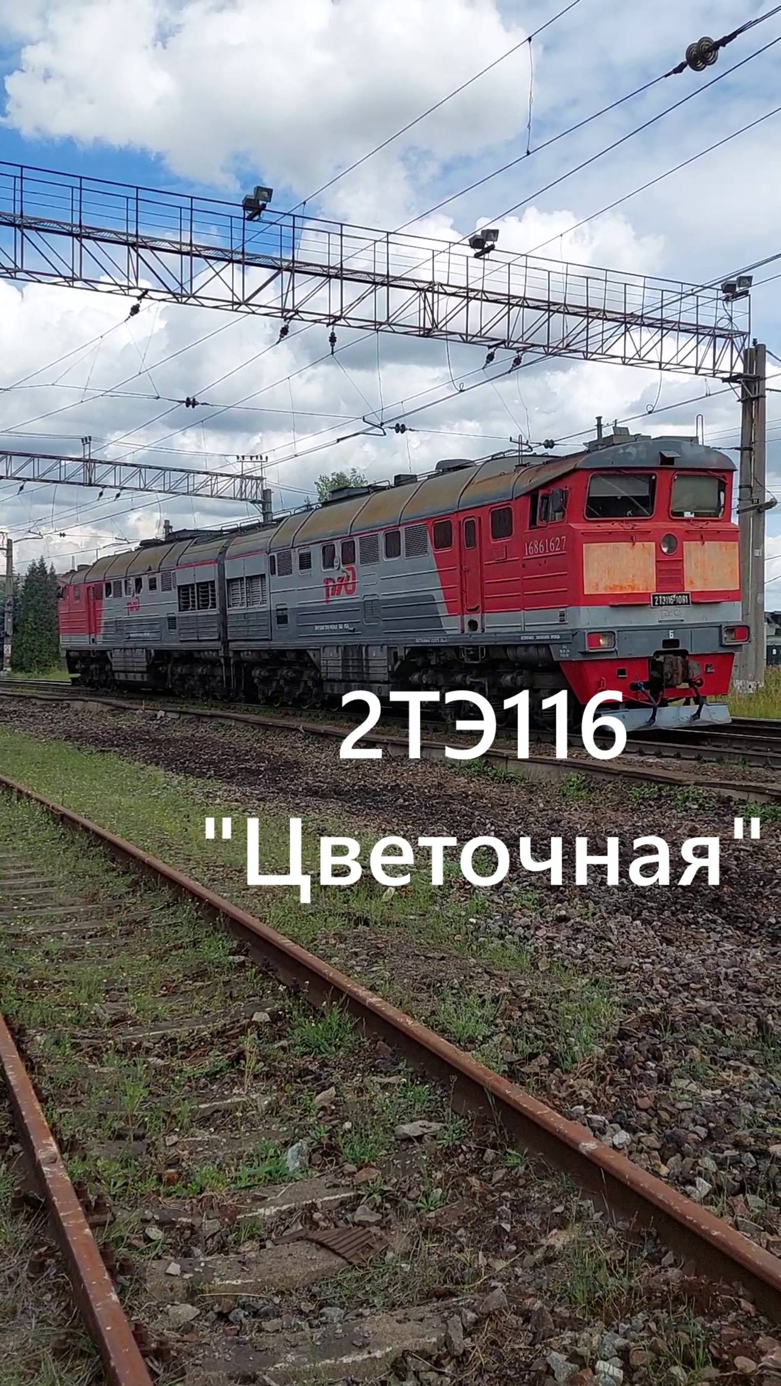 Тепловоз 2ТЭ116 пролетает непассажирскую станцию "Цветочная" около Московского проспекта смотреть онлайн