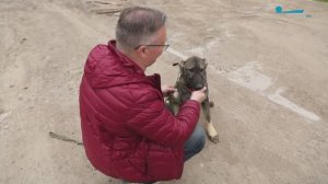 Мы — петербуржцы. Зоопсихолог Сергей Черников