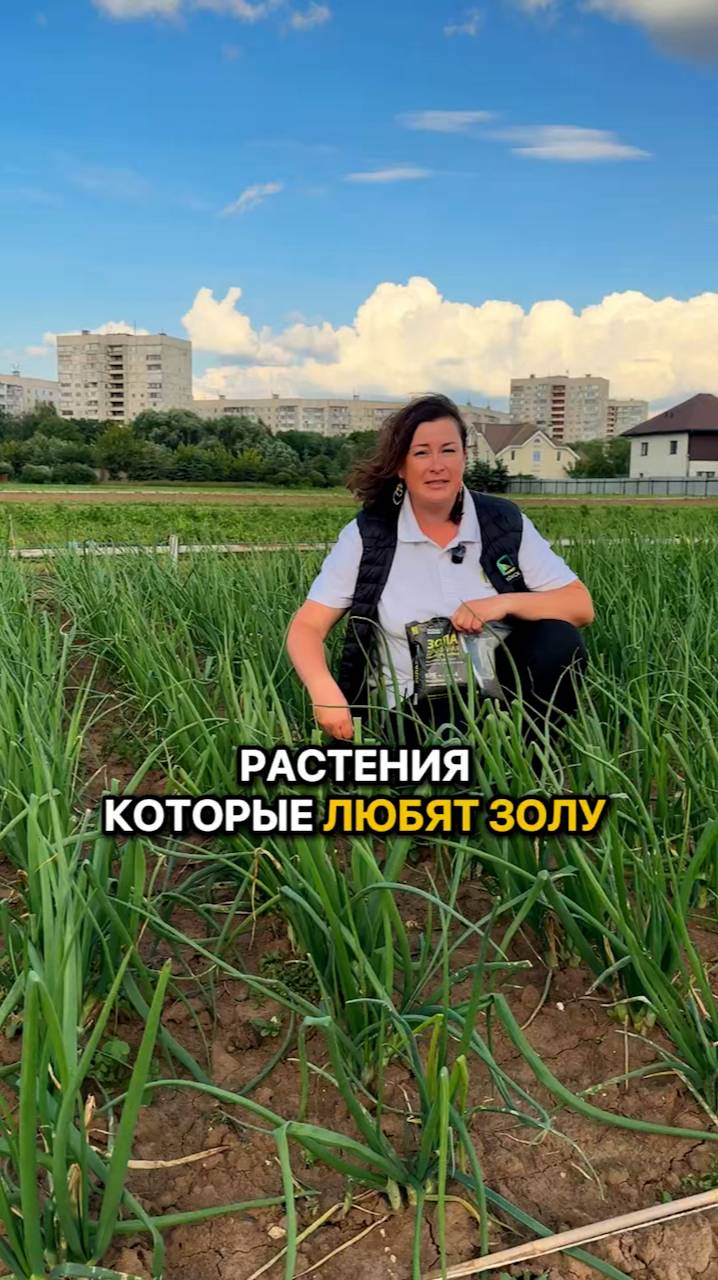 ЭТИ растения ЛЮБЯТ ЗОЛУ!