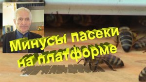 Почему платформа не так хороша? Честный анализ от Кашковского