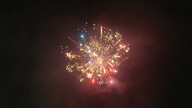 Разноцветные пионы (0.8"х6) смотреть онлайн