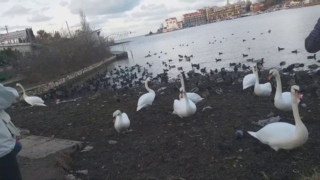 28 ноября 2023 г. смотреть онлайн