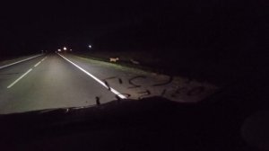 томская область косули