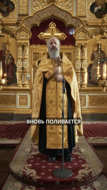 ОБЪЕДИНЯЙТЕСЬ, ПРАВОСЛАВНЫЕ | ИЕРОМОНАХ ДАВИД | ВАЛААМСКИЙ МОНАСТЫРЬ смотреть онлайн