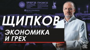 Экономика и грех. Щипков № 358