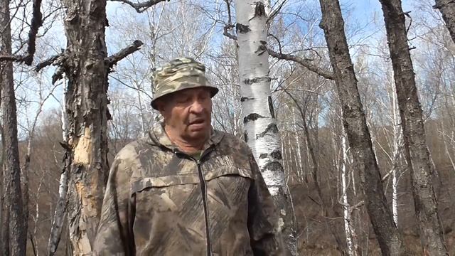 Самый простой способ собрать березовый сок смотреть онлайн