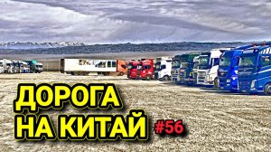 Я В ШОКЕ | САМАЯ КРАСИВАЯ ДОРОГА КАЗАХСТАНА | БЕЛАРУС ДАЛЬНОБОЙ #56