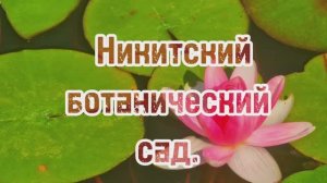 Никитский ботанический сад