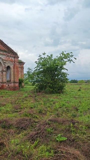 Газель NEXT, рязанская область #мотопчел смотреть онлайн
