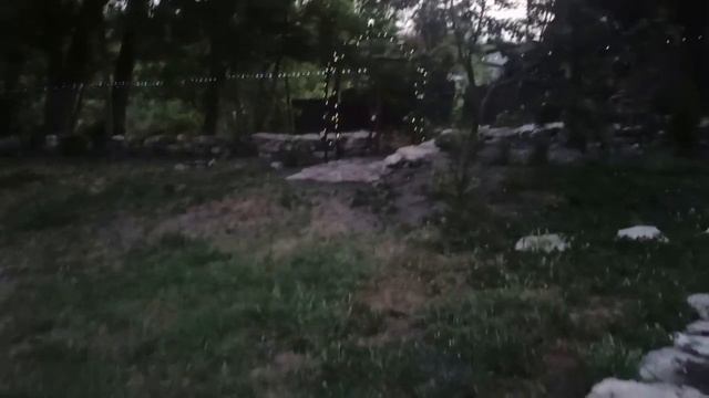 11-13 июля 2025г.Выживаю в жару +38.Собираю очередной урожай. смотреть онлайн