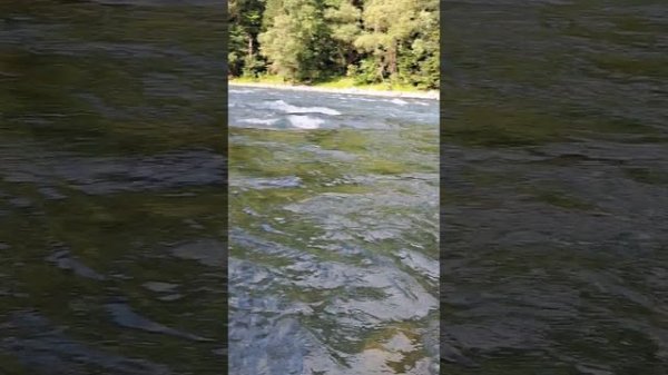 Дамхурц, часть вторая.