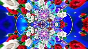 Футажи! Футаж Розы белые - Розы красные 2 от Киностудии Мудрого Кота Тимофея!