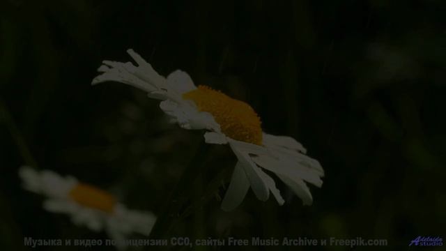 Ты почувствуешь свободу через 3 секунды! - FreeLove -- Red Crickets -- Red Crickets