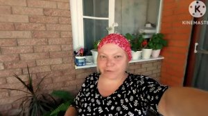 мы родились в Сибири//новая афера//обзор канала