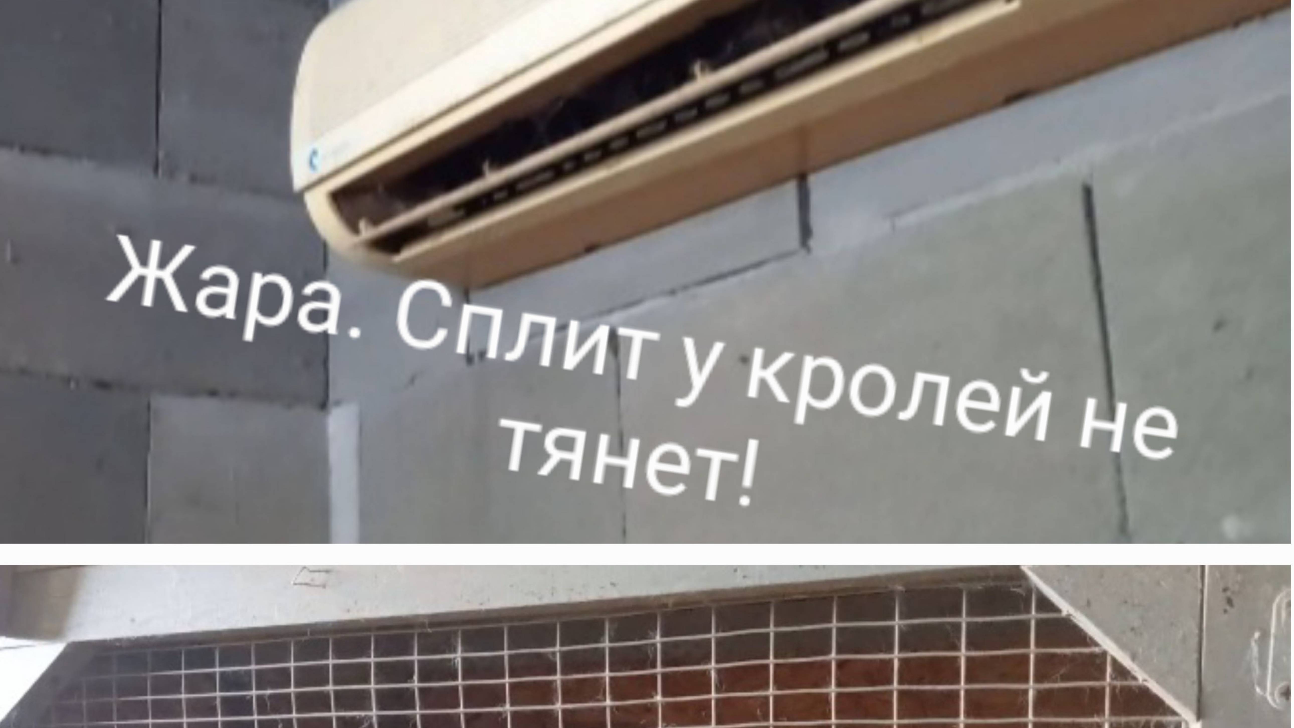 🌞🌞🌞 Сплит у кроликов не тянет!.. 🤷❗️ смотреть онлайн