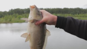 "ВСЕГДА С УЛОВОМ".