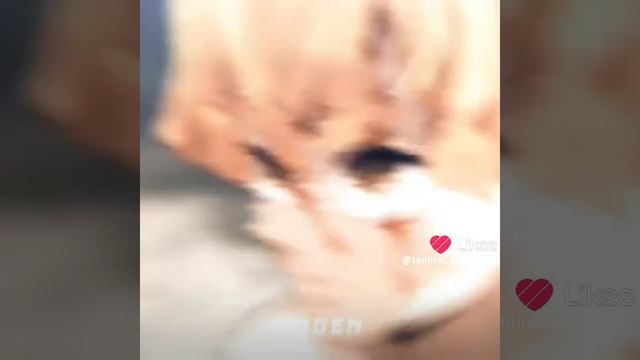 ЗЕНИЦУ смотреть онлайн