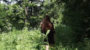 Битва экстрасенсов. Кавер телестудии «СМОТРИ». ЯШКИНО