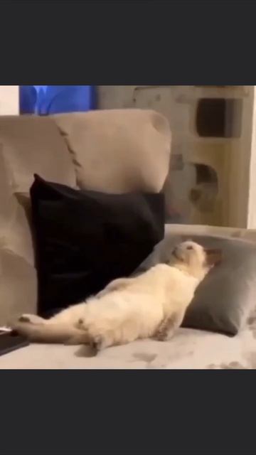 Обзор недели смотреть онлайн