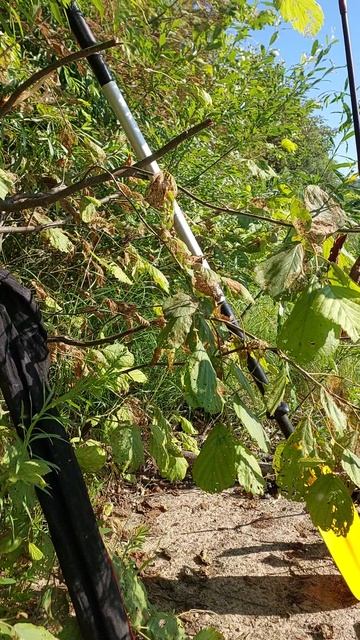 День рыбака1.mp4