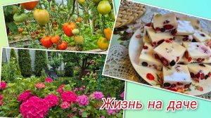 На даче СТРАШНЫЕ ГРОЗЫ.ПОЛЕЗНЫЙ и ВКУСНЫЙ десерт. Дела САДОВЫЕ