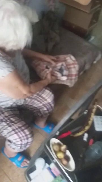 1 октября 2024 г. смотреть онлайн