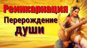 Реинкарнация. Перерождение и теория возраста души