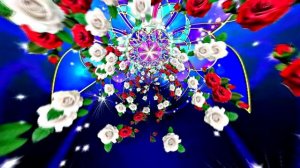 Футажи! Футаж Розы белые - Розы красные 1 от Киностудии Мудрого Кота Тимофея!