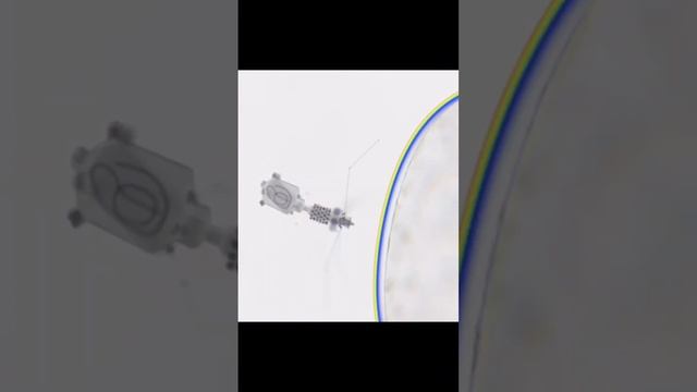 Бактериофаг смотреть онлайн